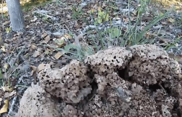 ����Ұ�ⷢ��&ldquo;��������&rdquo;���߽�ϸ������ϴ��ؼ�