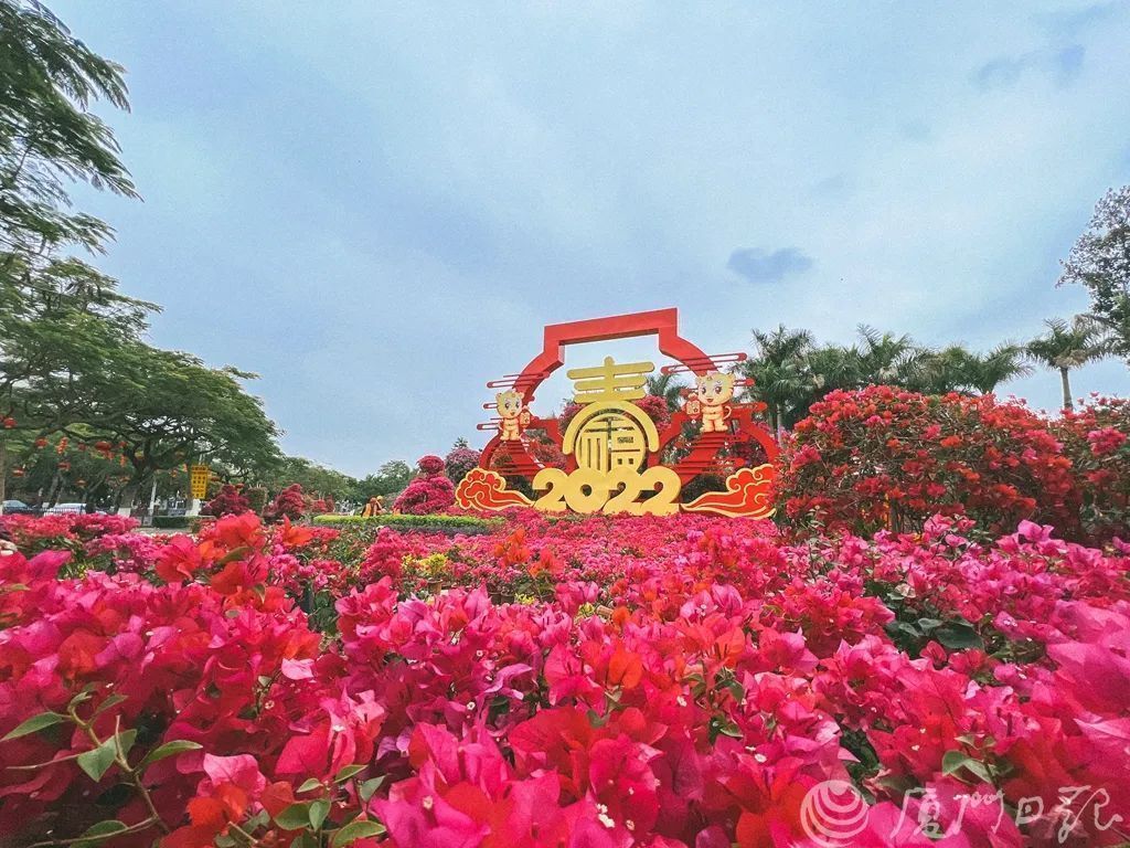 厦门市民专属：安驰汽车优惠价格一览