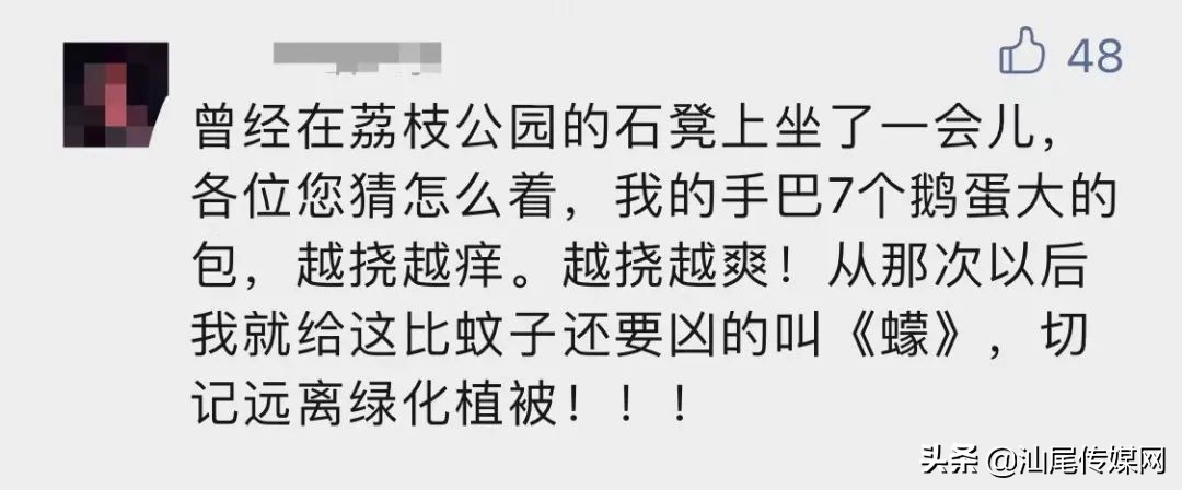 当心这小虫，有人被咬后进急诊！广东户外很常见