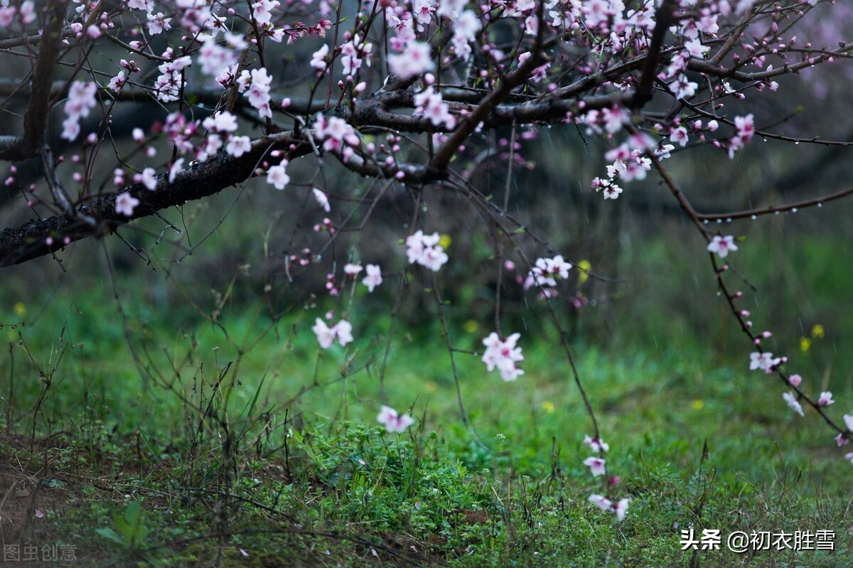 二十四节气之雨水五首：天一实生水，酝酿出春天