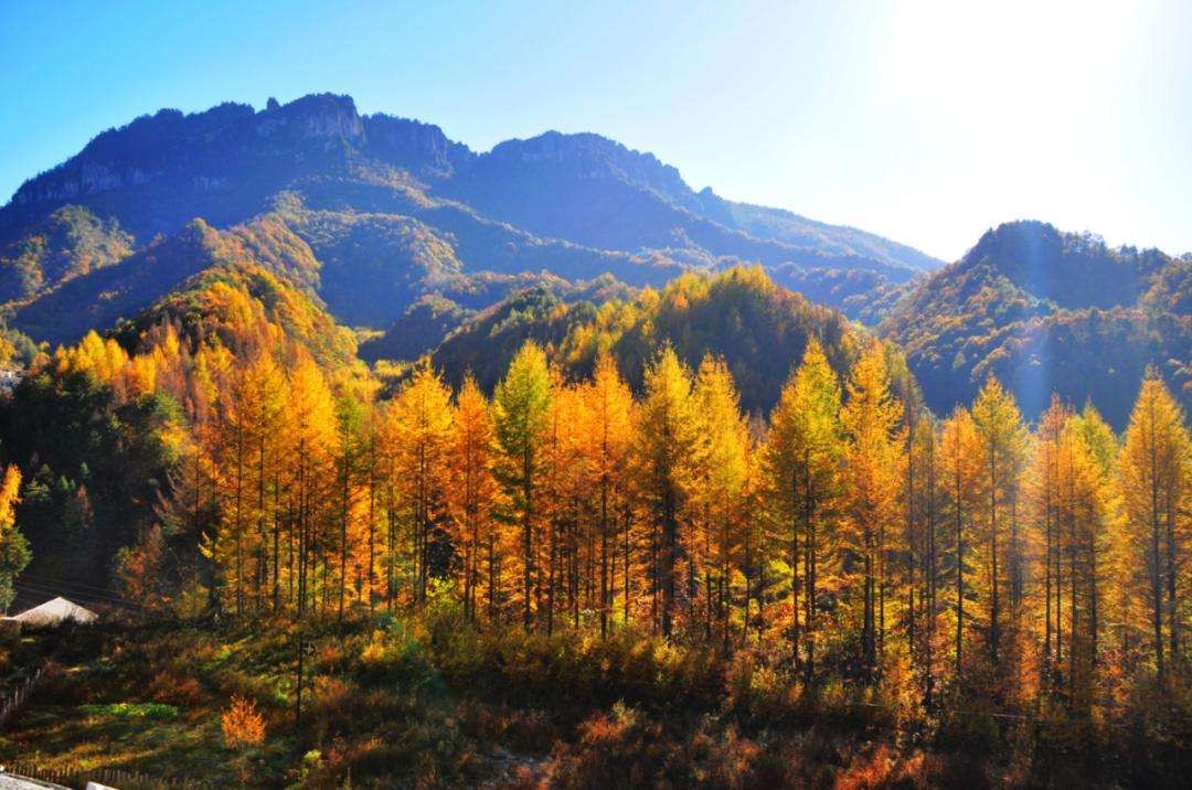 湖北旅游推荐：湖北十大5A级景点盘点，哪个是你心中的首选
