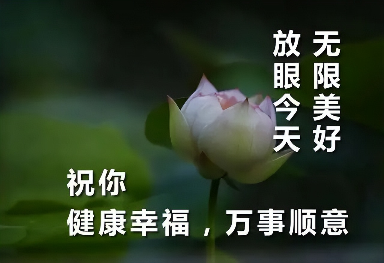 周五清晨道声早上好，真切问候，深深祝福，祝福好友好心情好运气图片
