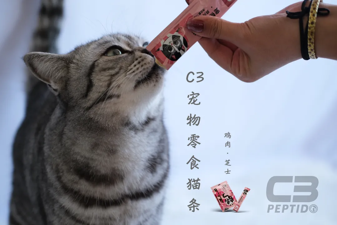 “C3帕缇朵杯”全国宠业渠道商贵宾尊享游船晚宴于3月3日盛大举办