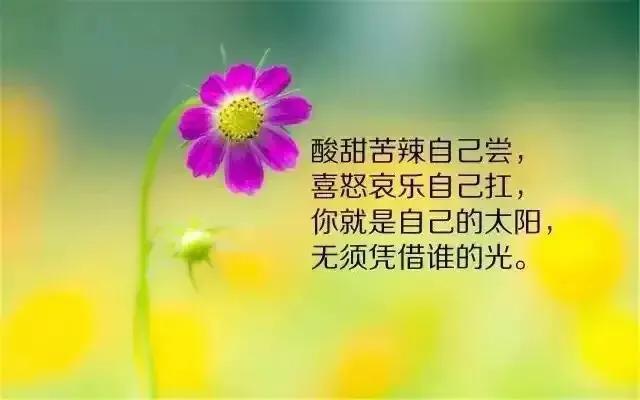 人生中经典人物的句子