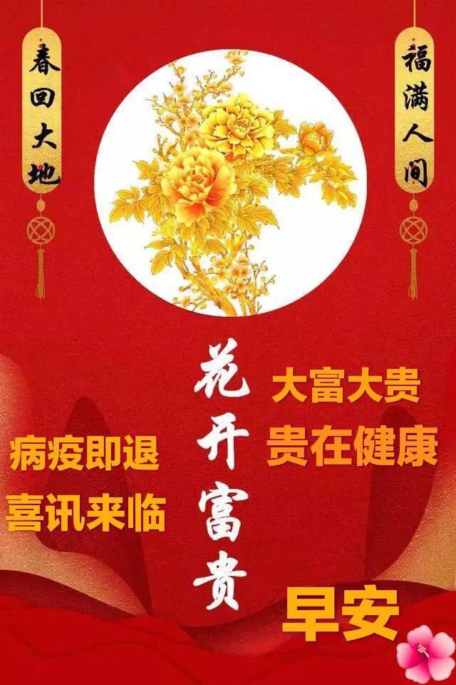 早上好表情大全 复制你的快乐 粘贴你的幸福 健康才是宝 快乐永不老图片