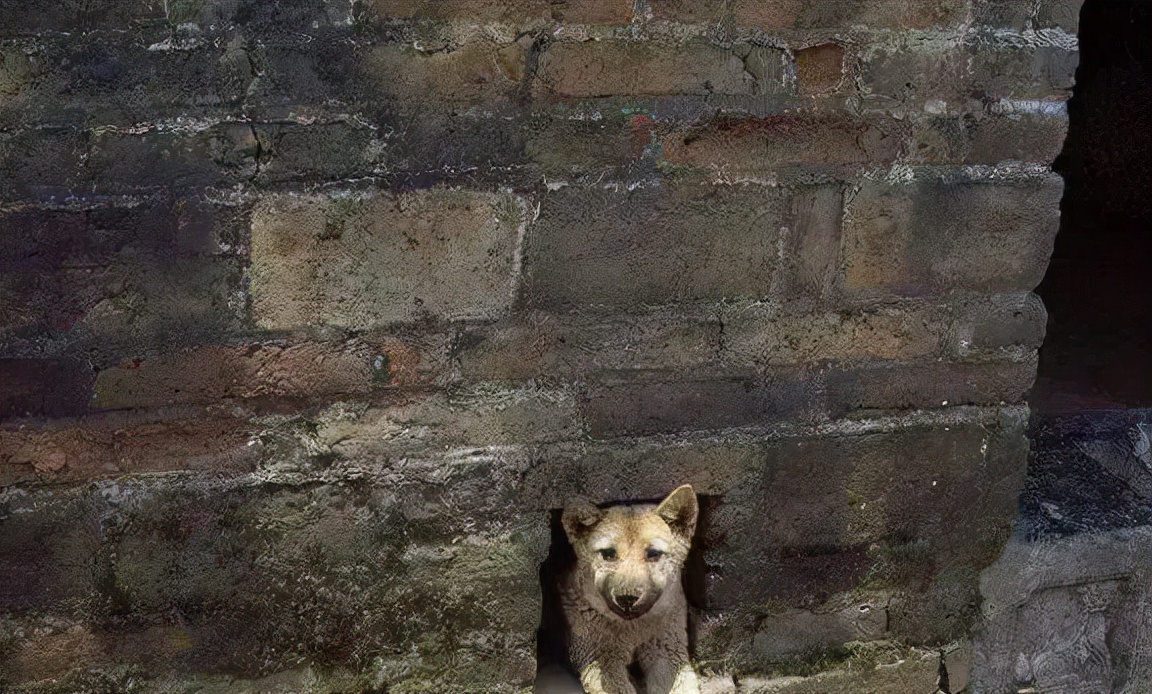 一位走阴人的客串奇遇