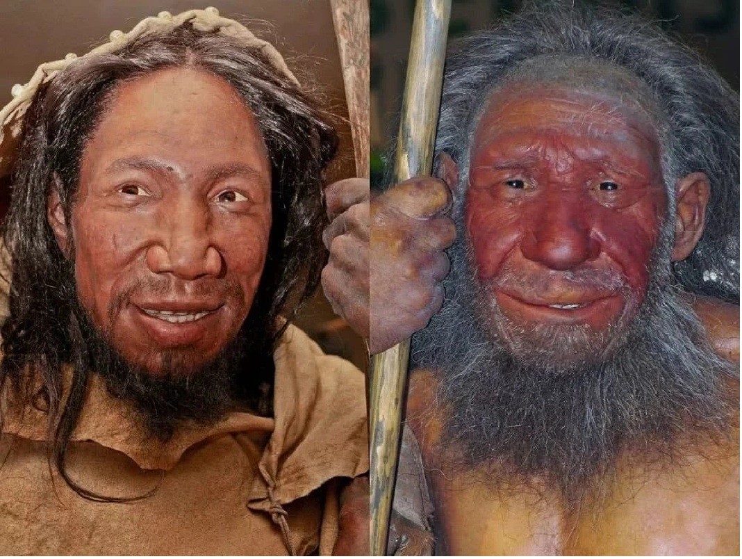 虱子可以追溯人类进化？它们与人一起生存进化，为什么快灭绝了？