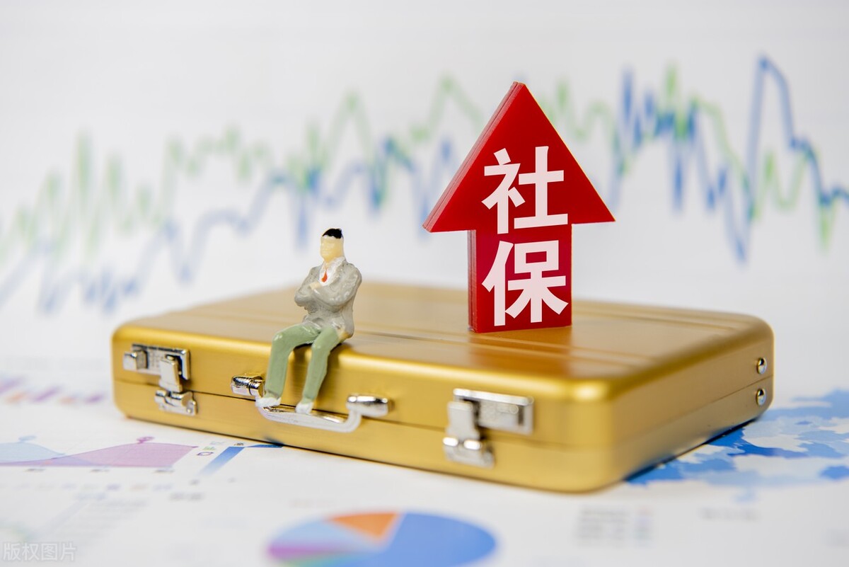 生育险查询,生育险查询进度查询