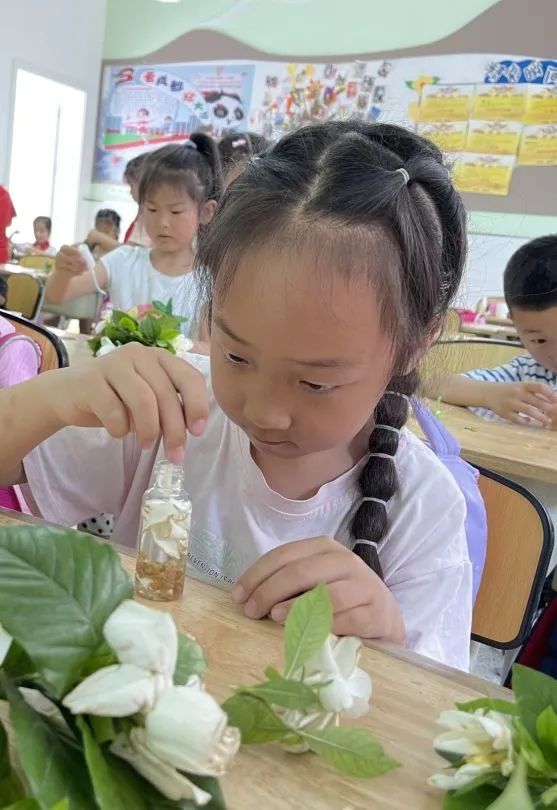 节气深耕.芒种节气｜成都高新区朝阳小学开展丰富多彩的节气活动