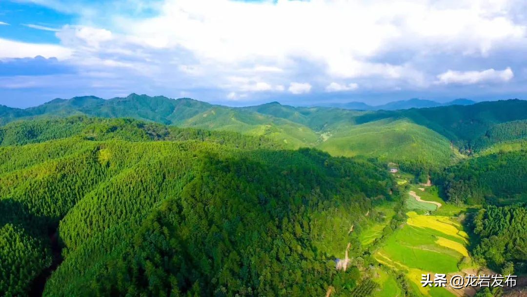 龙岩这里，科技赋能助力“双碳”