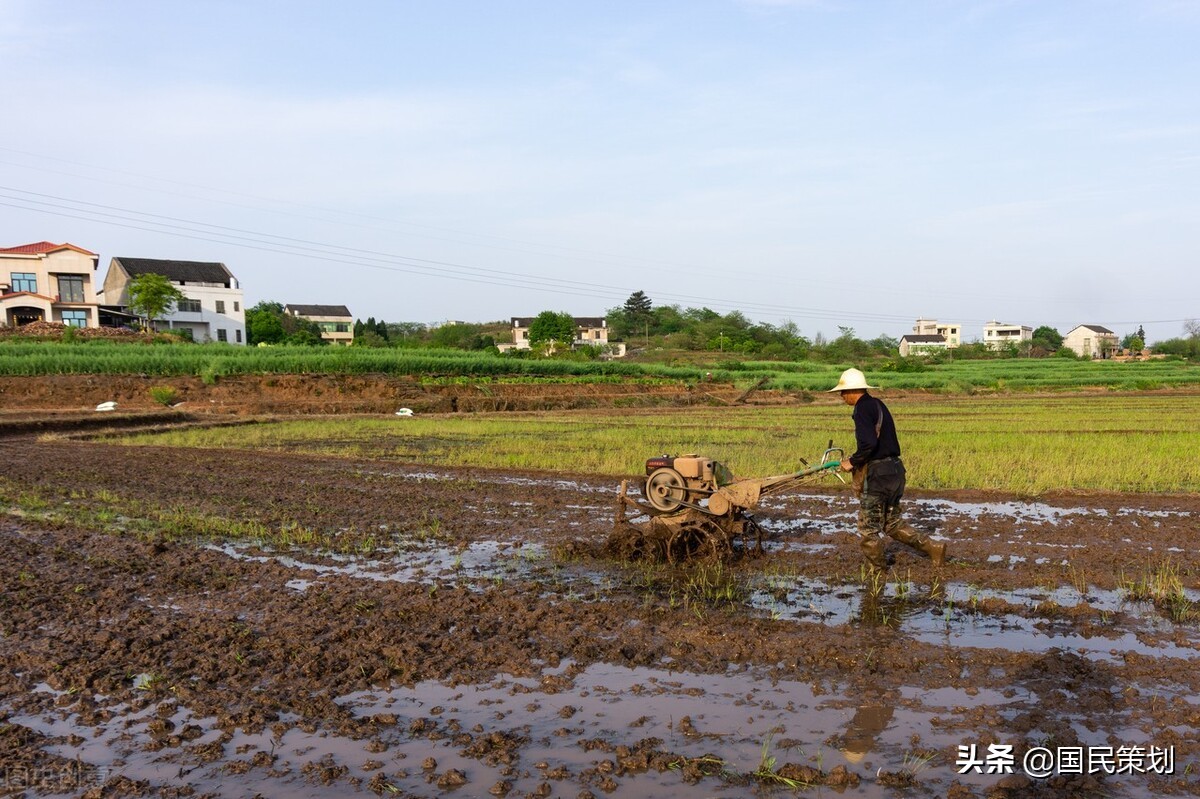 专家：农民不种地农业才能现代化？如此谬论，不接地气，不合时宜