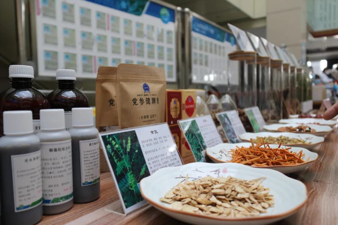 扬千年中医药，做百年健康人——弥勒市中医医院举办健康养生节