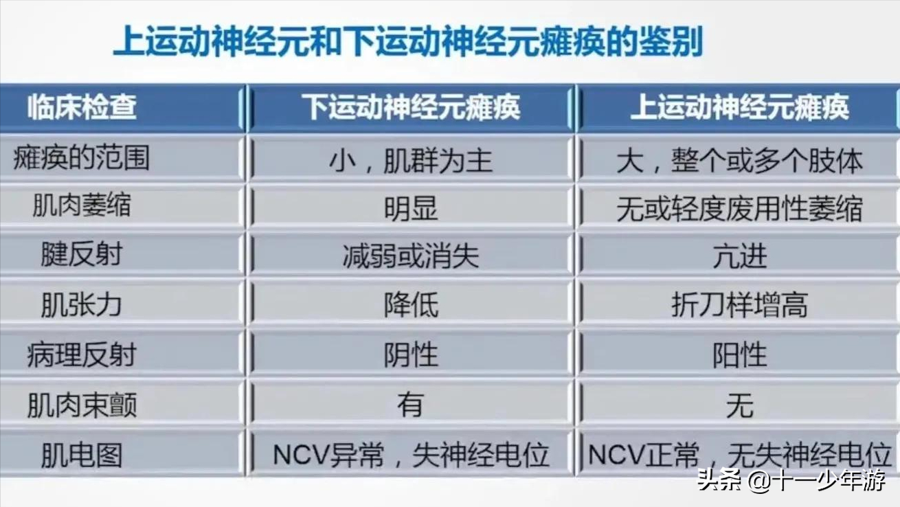 nba被动肌张力包括有哪些(运动系统解剖、生理及损害表现)