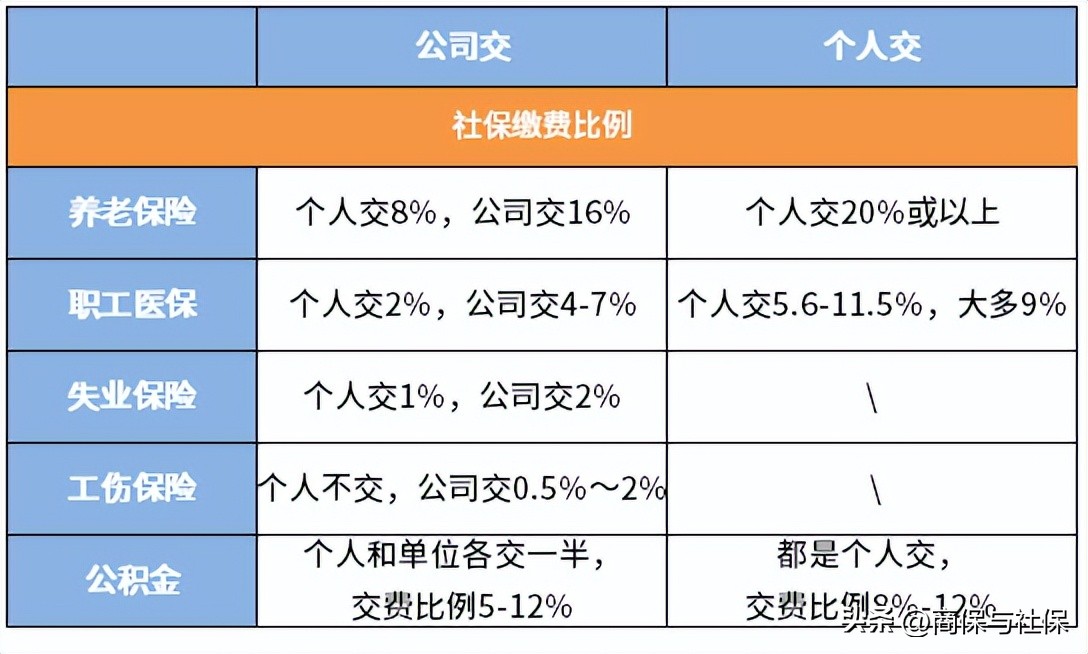 公司交社保和个人交社保的区别(公司交社保和个人交社保的区别在哪里)