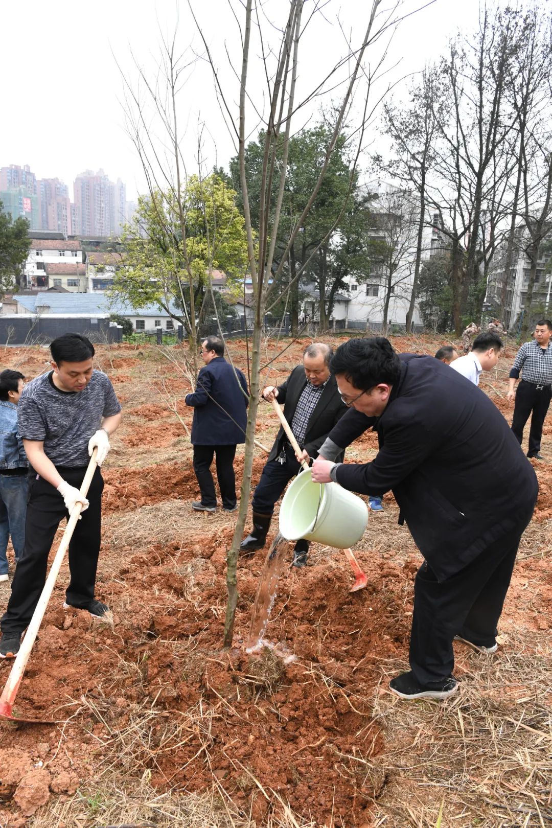 创国家森林城市 建怀化绿色家园 黎春秋王建球李万千印宇鹰等参加义务植树活动