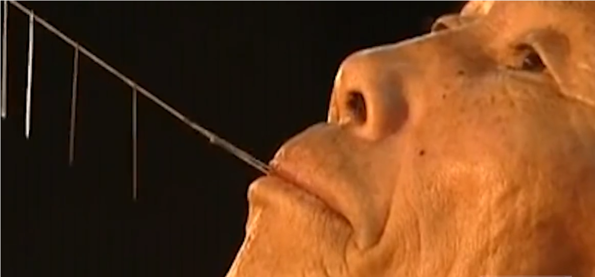 “鬼手”王保合的手到底有多快？在金盆洗手前，最后一次表演失利