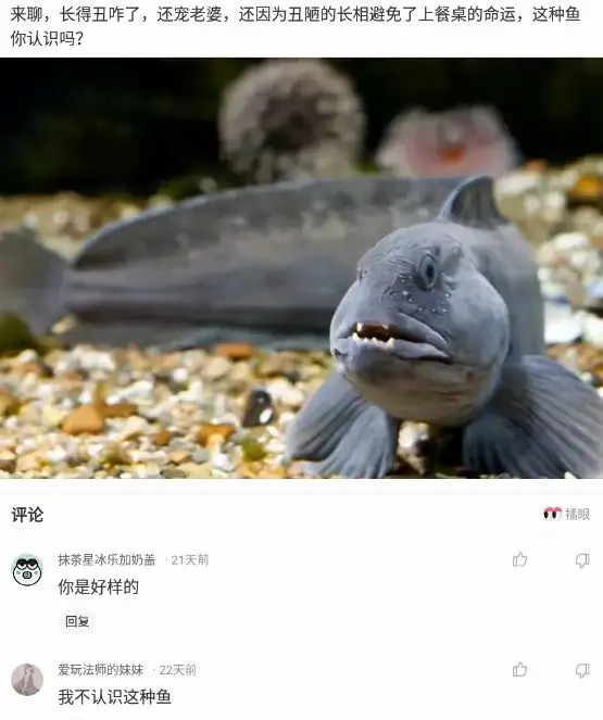 神回复：终于升官了，领导把我拉进管理群，初次进群怎么打招呼？