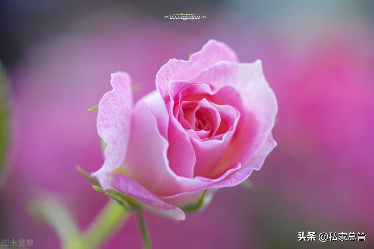 最适合你的颜色，才是世界上最美的颜色