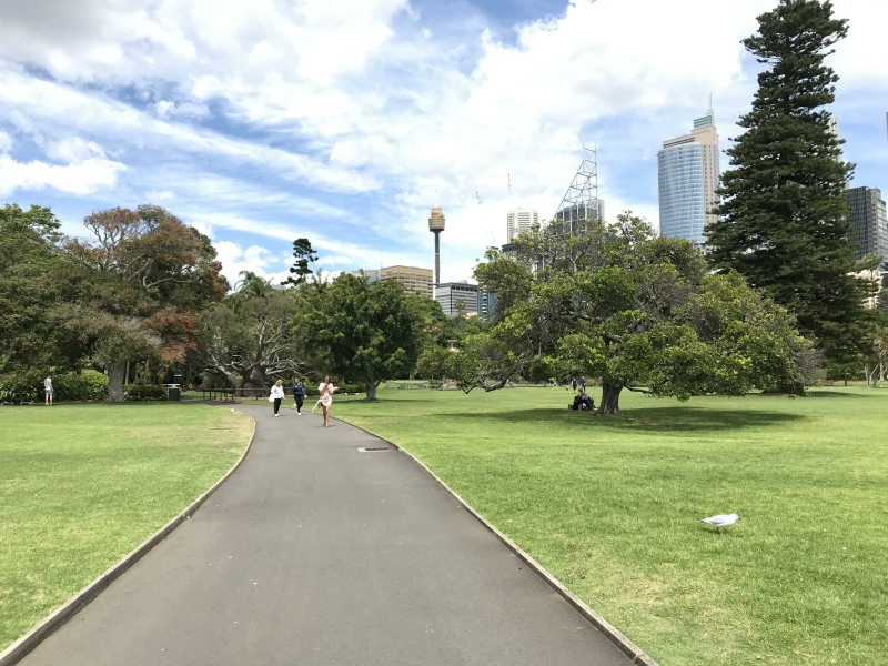 新加坡理工大学研究生申请条件（南洋理工大学硕士研究生申请条件）