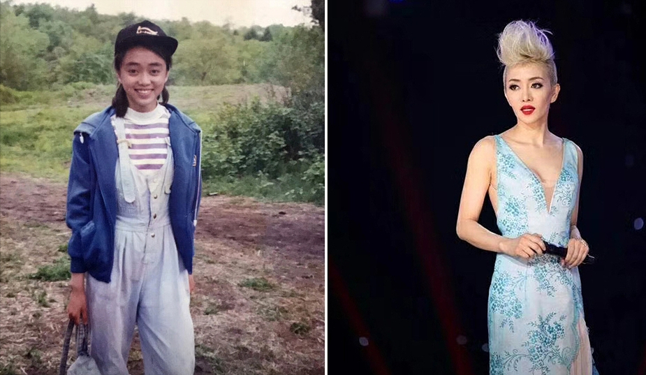 山寨梅艳芳张丽：整容10余次，捞金年入上百万，刘德华见她落泪