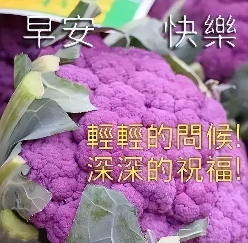 漂亮的早上好祝福图片 早上好的温馨问候图片 开心在今天 健康每一天图片