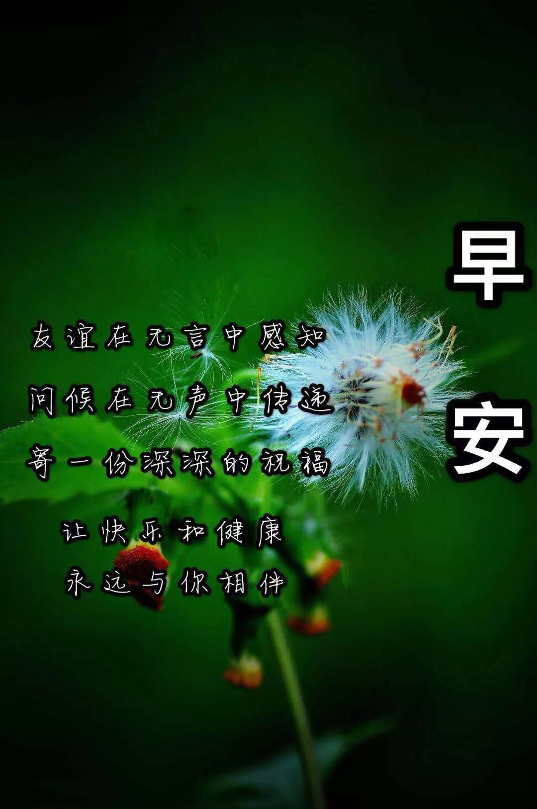 早上好祝福动态表情图片大全，顺心喜悦，开心迎接每一天图片