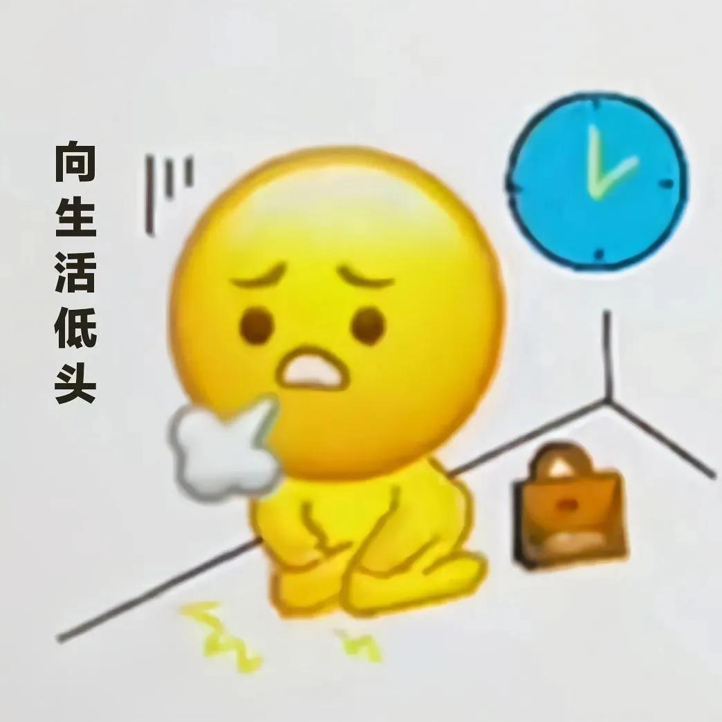 可爱表情包  我可什么都看见了