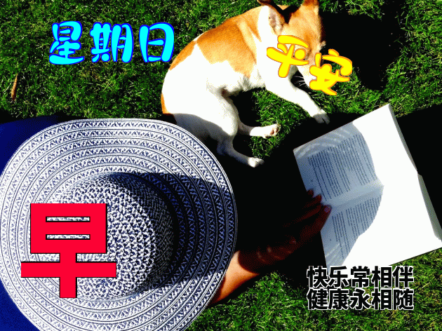 清晨美女问候早上好漂亮早上好表情包祝福语 愿君开心快乐 健康平安图片