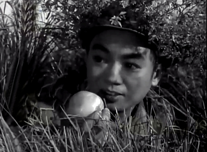 五六十年代具有少年感的6位男星 个个阳光干净 现在的男演员没法比