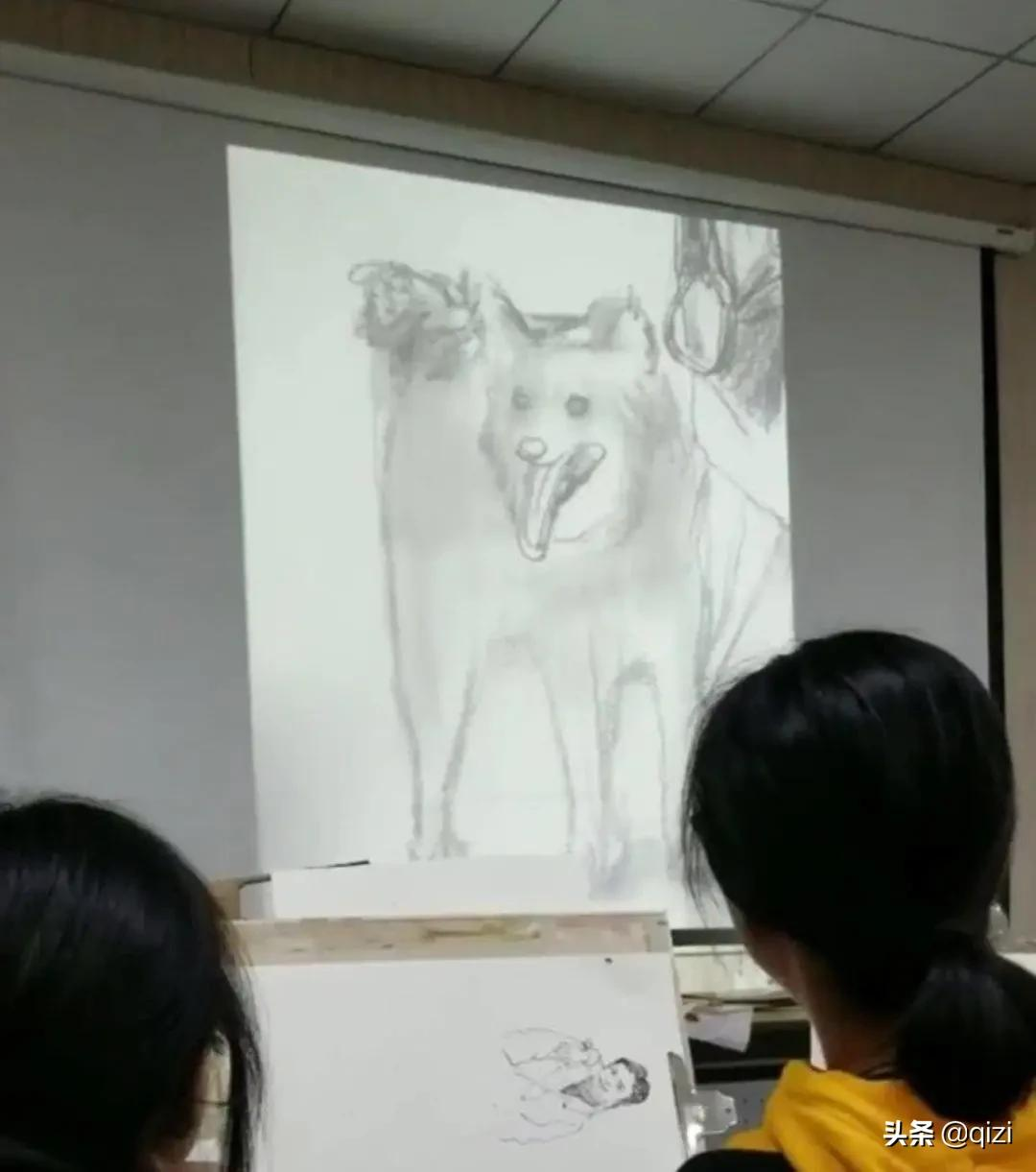 能把美术老师气死的试卷，一个比一个高能