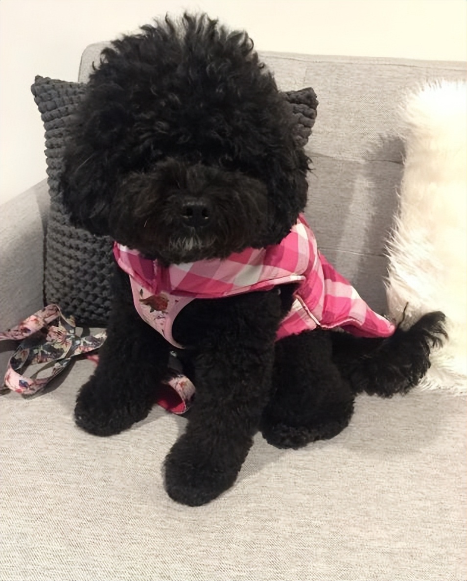 原来跟这几点有关