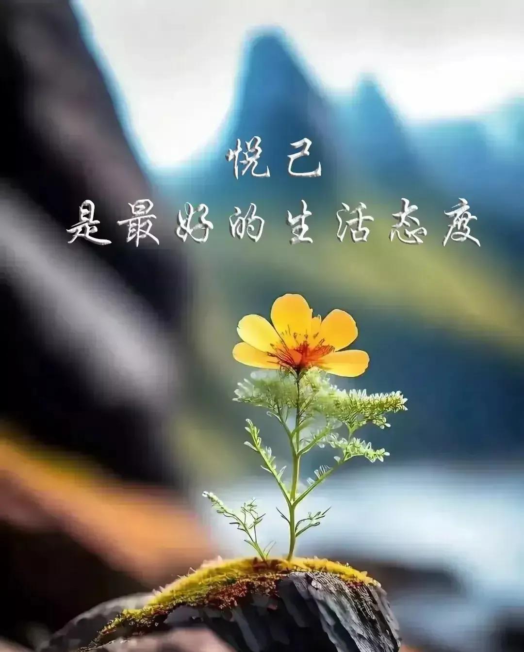 好心情开心的图片带字图片