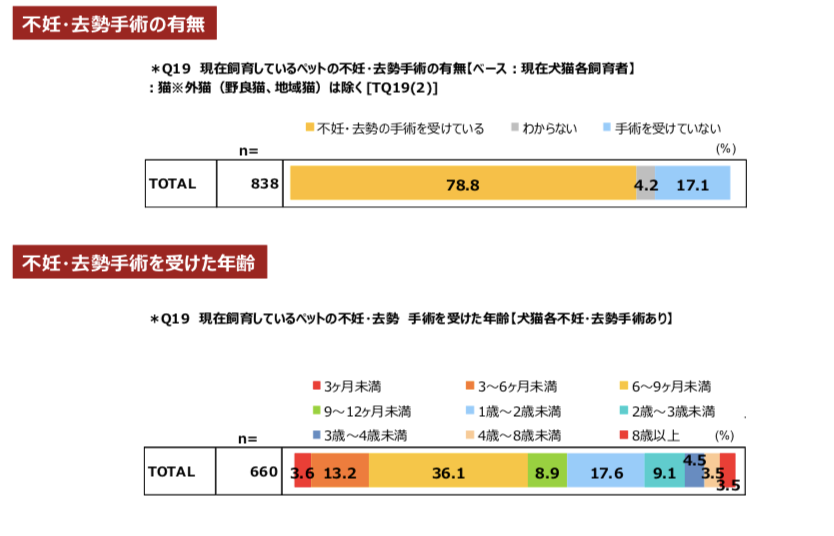 关于日本宠物市场，这份2021年犬猫调查报告透露了这些情报