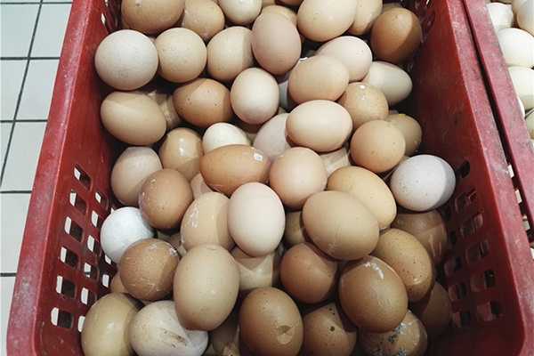 买回来的鸡蛋放冰箱前，有2件事不要做，不少人一直都搞错了
