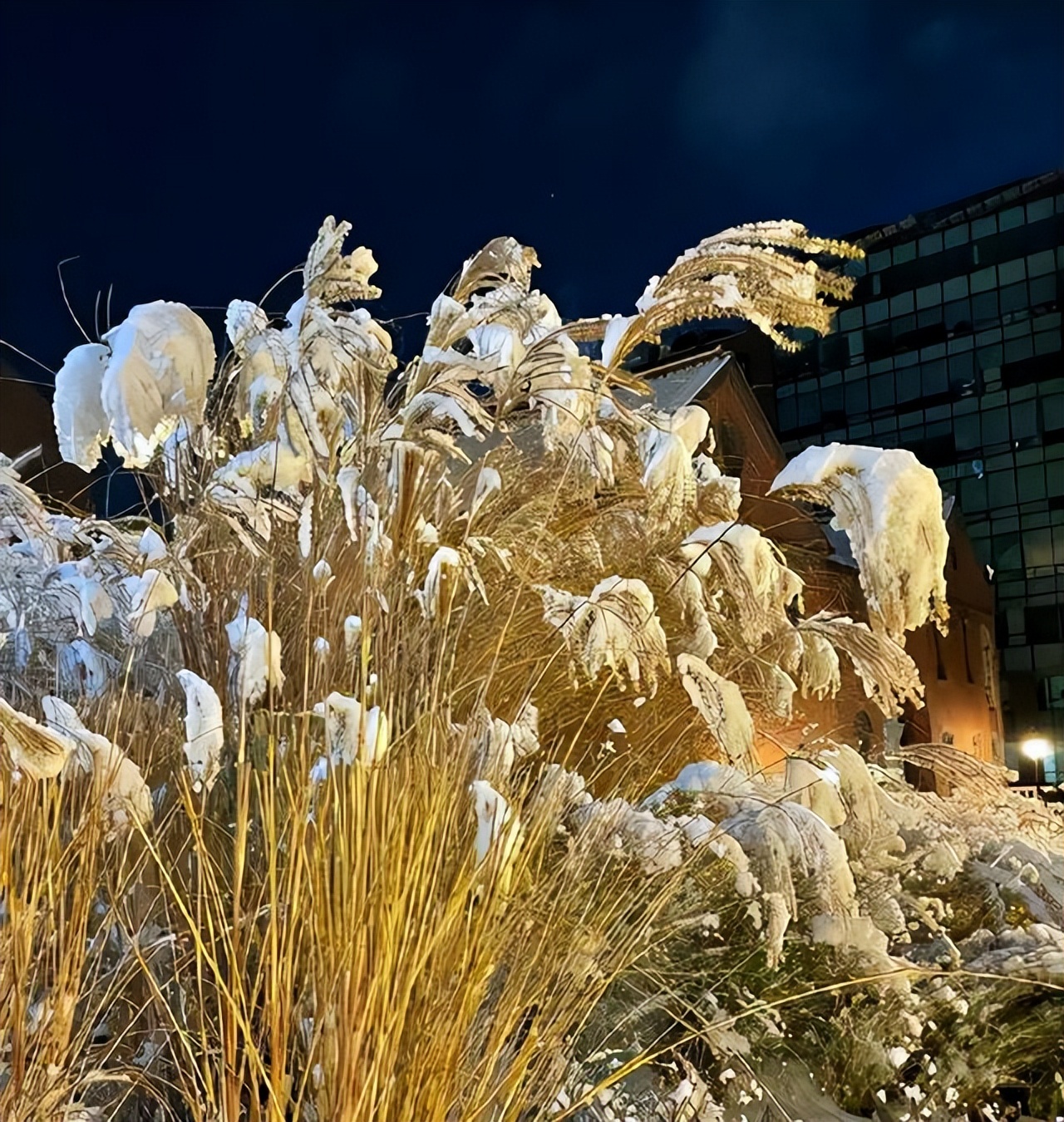 文案 | 适合任何心情的高级状态文案