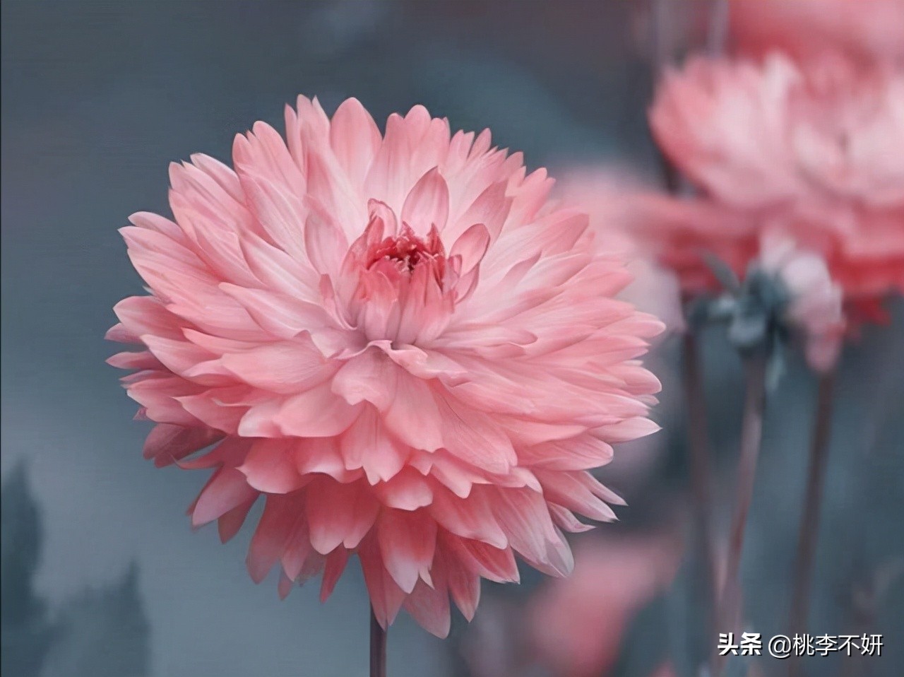 风雨人生，看淡了，心就不累了
