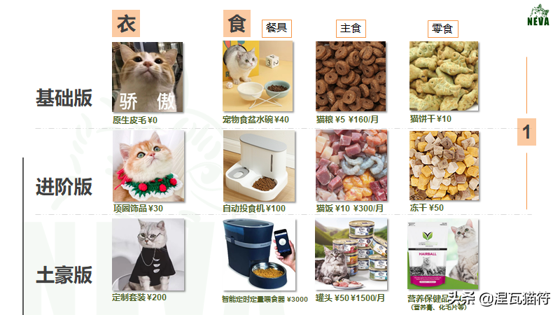 养猫一个月花多少钱？