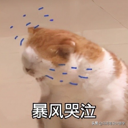 从零出发，转专业申请米理，三个案例告诉你如何准备