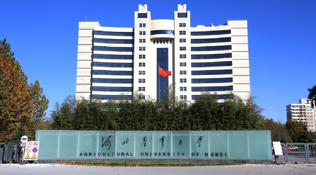 聊聊河北高校的层次