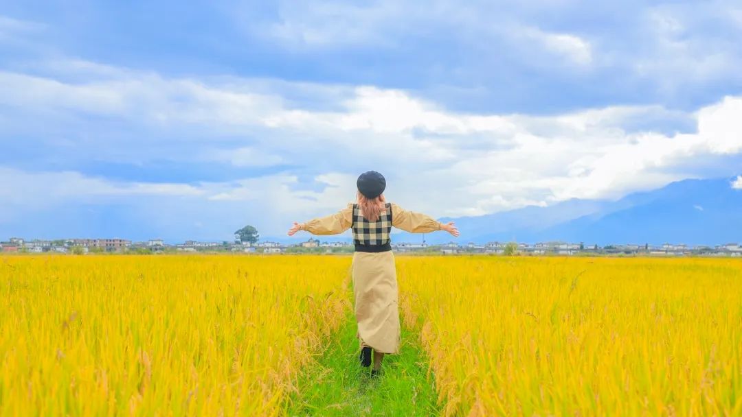 《麦田里的守望者》：看不懂是幸运，看得懂是人生