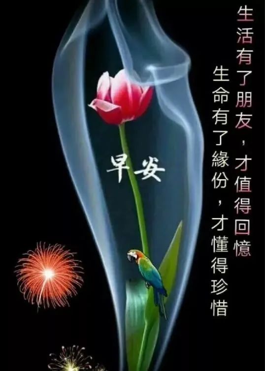 温馨早安问候语表情包，早上好祝福语短信，平安喜乐，大家早上好图片