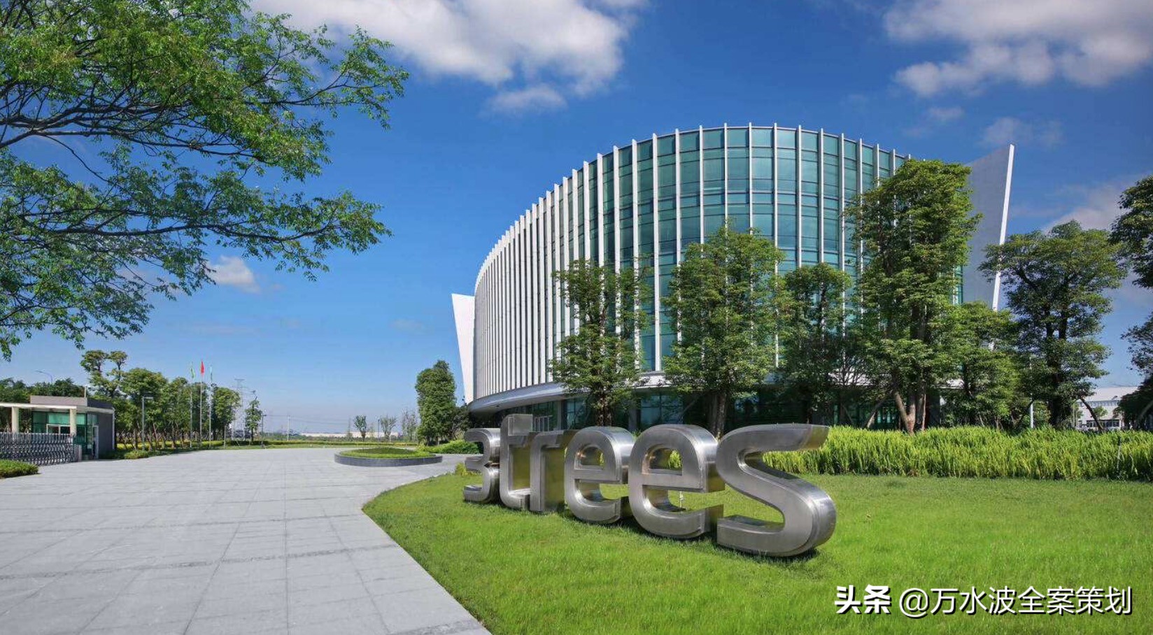 涂料品牌销售设计策划方案：万水波解读三棵树成为健康漆品类之王