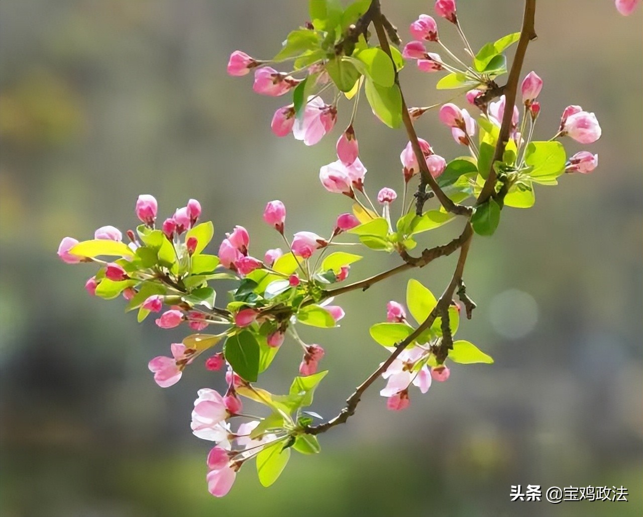 上巳节的由来和风俗（中国古代最浪漫的节日）