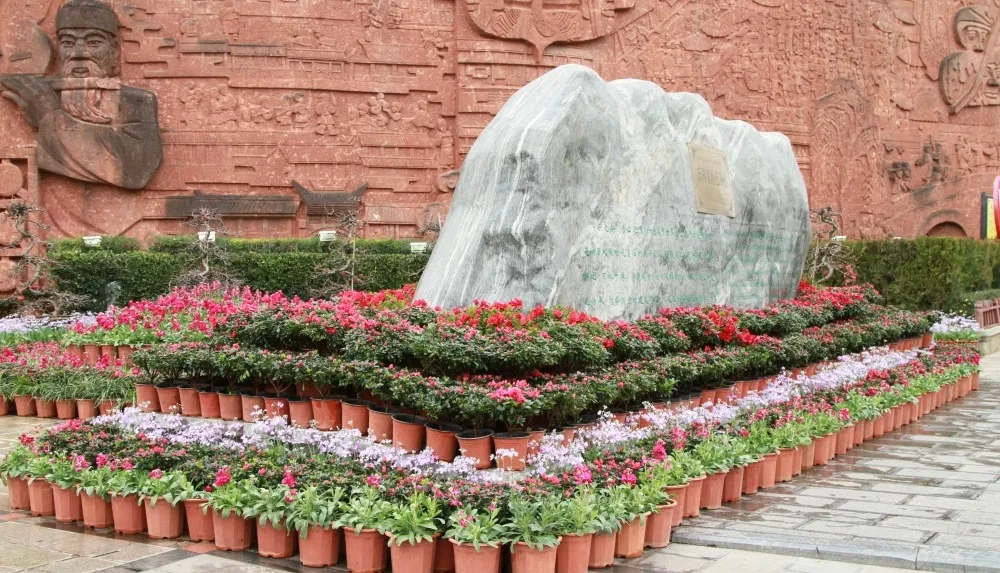 新春临近 在丽江古城率先进入“花的世界”