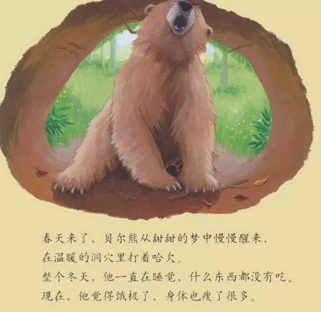 有声绘本《贝尔熊吃不饱》关于友情的故事