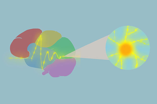45岁后，大脑开始加速衰老，4个伤害大脑的习惯，不少人还在做