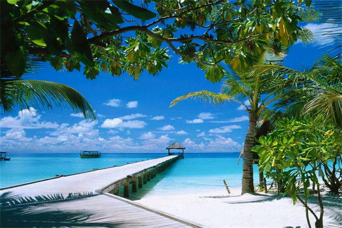 关于风光的美文(形容海南风光的美文) _晶羽文学网