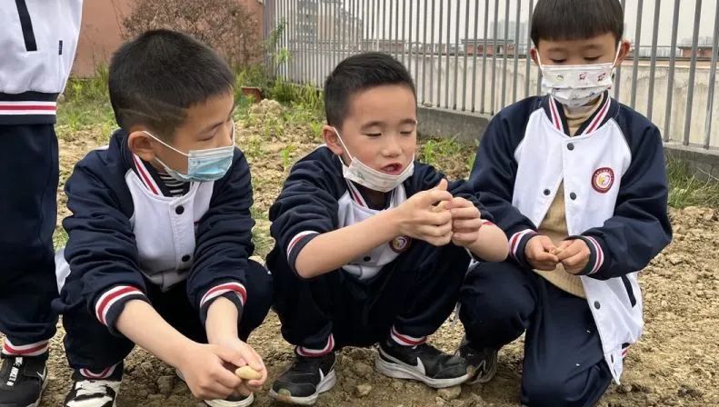 成都高新区朝阳小学开展“节气深耕·清明节气”主题活动