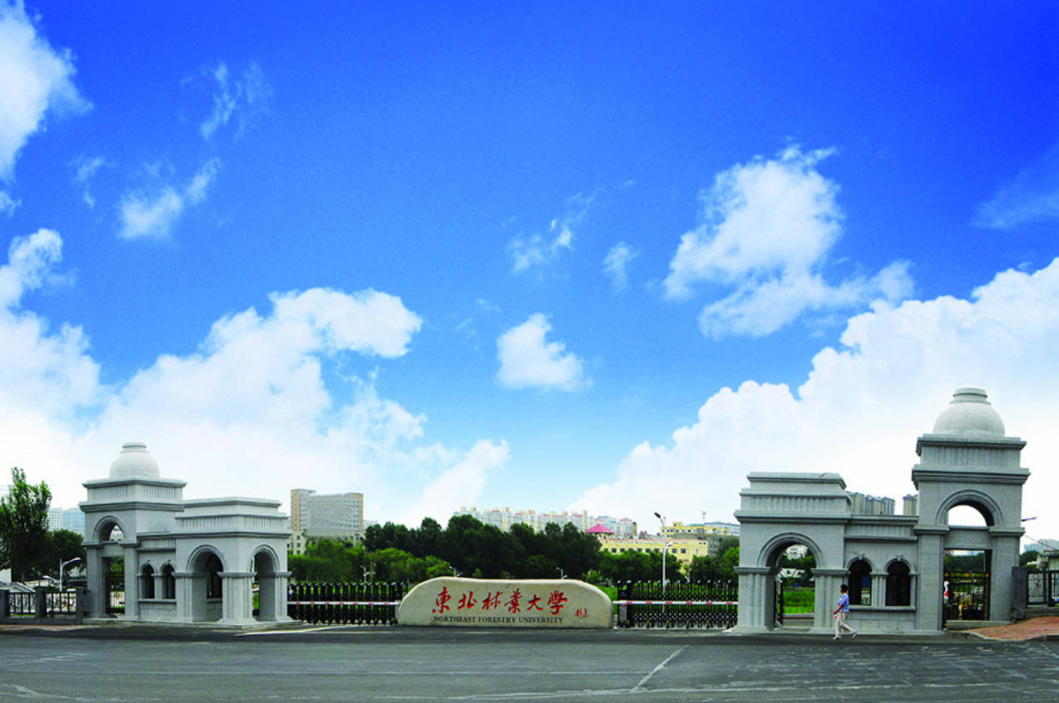 黑龙江高考重本分数线（艺术类招生100人）