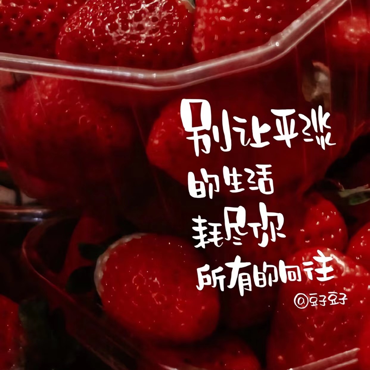 “愿你”美好的句子，值得收藏｜愿你历经山河，觉得人间值得